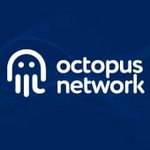 Octopus%20Network